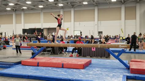 Skyline gymnastics - This past weekend Skyline and our parents booster club hosted our 5th Annual Flipping With The Stars Invitational. We had close to 850 gymnasts compete from all over the mid-atlantic region! Thank...